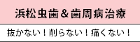 浜松 虫歯 歯周病 治療 抜かない 削らない 痛くない